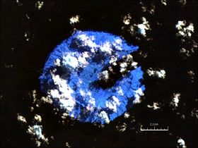 Photographie satellite d’Ureparapara