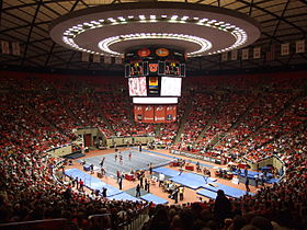 Utah gymnastics meet.jpg