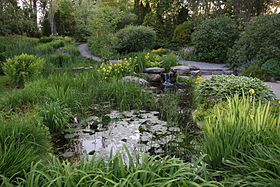 Image du Jardin botanique Roger-Van den Hende