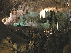 Image illustrative de l'article Parc national des grottes de Carlsbad