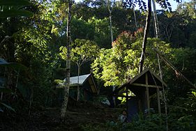 Quelques bungalows perchés sur la colline au coeur de la forêt.