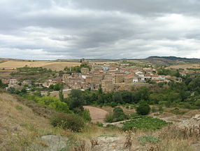 Vue générale du village de Torres del Río