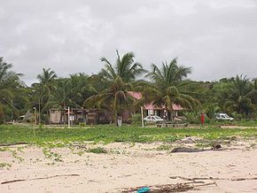 Vue du village Yalimapo depuis la plage des Hattes
