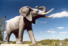 Statue de Jumbo, grandeur nature