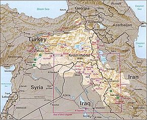 Les zones majoritairement kurdes (en clair).