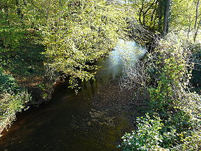 Le ruisseau du Mayne entre Objat et Saint-Cyr-la-Roche