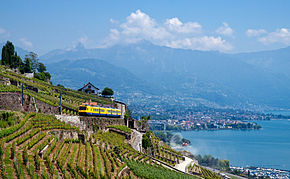Le train des vignes dans le Lavaux avec la Riviera vaudoise en arrière plan