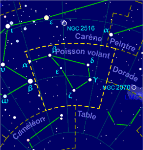 Volans constellation map-fr.png