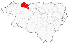 Situation du canton de Bidache dans le département Pyrénées-Atlantiques