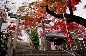 Autumnal colors of the leaves at Iwazu Temmangu Shrine.jpg
