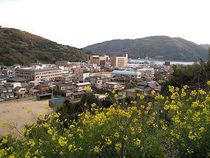 Ikata - Minatoura in Spring.JPG