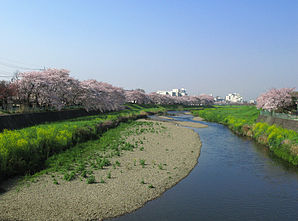 Shiki Yanase River 1.jpg