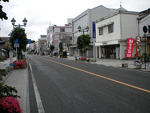 Tochigi prefectural road No.11 on Tochigi city.jpg