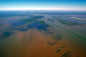 Atchafalaya River delta.jpg