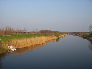 Canal Danube-Tisa-Danube in Serbia.jpg