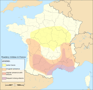 France location map-Powdery mildew.svg