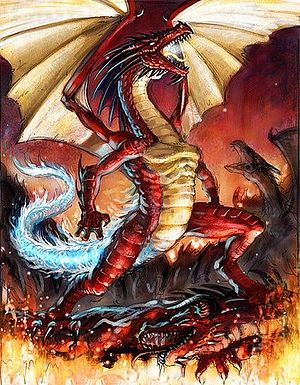 Furioso dragon-13-.jpg