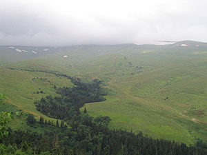 Prairies alpines en Adyguée (plateau de Lagonaki).