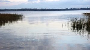 Lake Saimaa morning.jpg