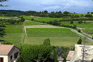 Paysage viticole (VISAN,FR84) Cotes du Rhone Village.jpg