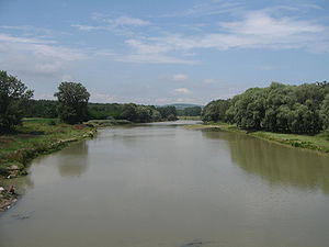 Râul Suceava.jpg