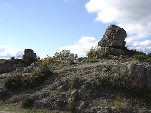 Rocher du Larzac.jpg