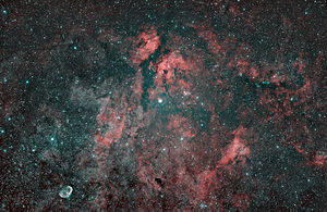 Photographie réunissant les objets célestes IC 1318, NGC 6888, IC 1311, NGC 6914, NGC 6910, IC 4996, NGC 6913, 34 Cyg, γ Cyg et 40 Cyg.