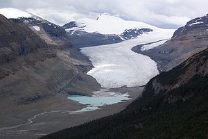 Saskatchewan Glacier.jpg