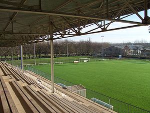 Stade Auxerrois - Terrain d'honneur (9).JPG