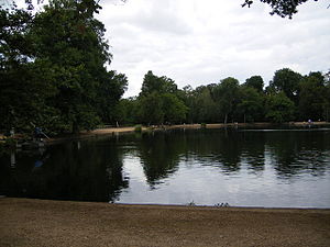 The Lake, Black Park - geograph.org.uk - 212385.jpg