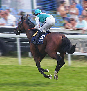 Workforce (horse) at 2010 Epsom Derby.jpg