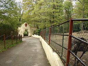 Vue d'une allée du zoo, dans un cadre verdoyant