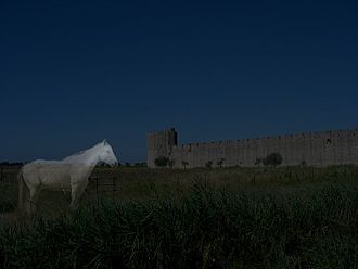 Un cheval blanc fantomatique, en partie transparent, se tient à l'extérieur des remparts sous le ciel nocturne.