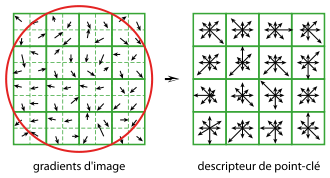 Illustration de la construction d'un descripteur SIFT à partir d'une région de 16 × 16 pixels.