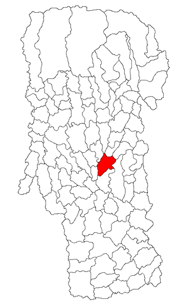 Localisation de Mioveni