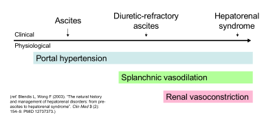 Diagram showing hypothesized correlation between clinical features and pathophysiology of ascites and hepatorenal syndrome.