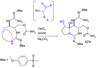 Formation de l'hémiaminal dans la synthèse totale du saxitox in synthesis