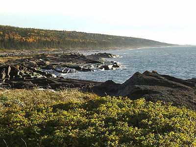 littoral nord de l'île Verte, vu à partir du phare de l'île