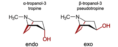 Isomer-tropanol-3.png