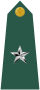 Insigne de Brigadier General de l'US Army