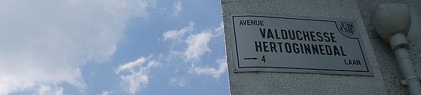 Avenue Valduchesse plaque.jpg