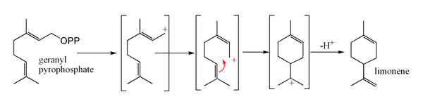 Biosynthèse de limonène à partir de géranyl pyrophosphate