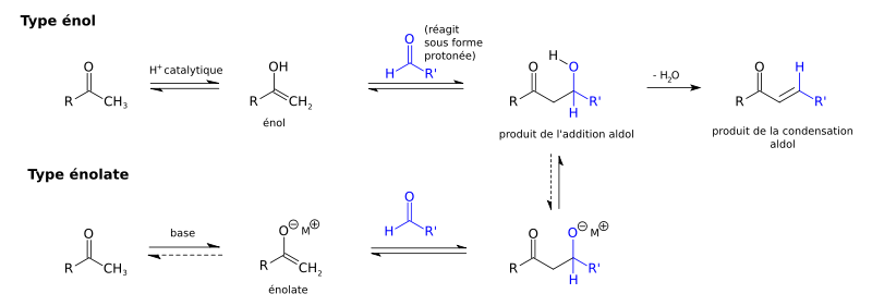 Un résumé de la réaction aldol