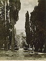 Anderson, James (1813-1877) - n. 0621 - Tivoli - Villa d'Este.jpg