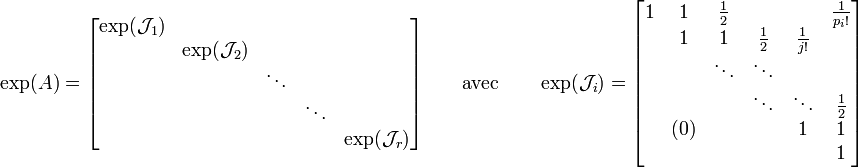 \exp(A)=
\begin{bmatrix} 
    \exp(\mathcal{J}_1) &                         &        &        &                         \\
                            & \exp(\mathcal{J}_2) &        &        &                         \\
                            &                         & \ddots &        &               \\
                            &                         &        & \ddots &               \\
                            &                         &        &        & \exp(\mathcal{J}_r) \\
\end{bmatrix} \qquad \mbox{avec} \qquad \exp(\mathcal{J}_i)=
\begin{bmatrix} 
     1 & 1 &  \frac{1}{2} &  &  &  \frac{1}{p_i!}\\
     & 1 & 1 & \frac{1}{2} & \frac{1}{j!} &  \\
     &  & \ddots & \ddots &  &  \\
     &  &  & \ddots & \ddots & \frac{1}{2} \\
     & (0) &  &  & 1 & 1 \\
     &  &  &  &  & 1 \\
\end{bmatrix}
