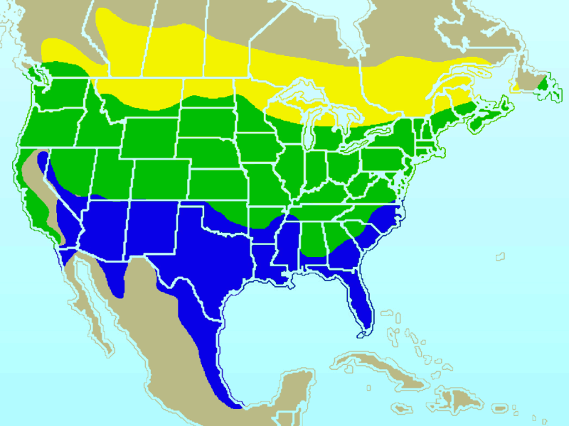 American Goldfinch-rangemap.gif