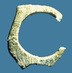 Pendeloque en os du Châtelperronien d'Arcy-sur-Cure     (largeur 32 mm)