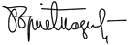 Boris Tadic signature.gif