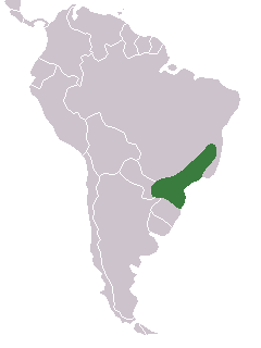 Distribuicao-geografica-amazona-vinacea.png