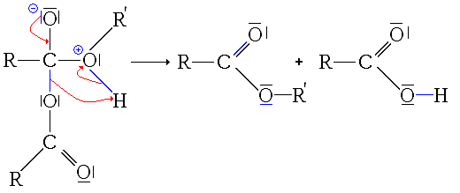 2ème étape de l'estérification d'un anhydride d'acide : départ de RCOOH